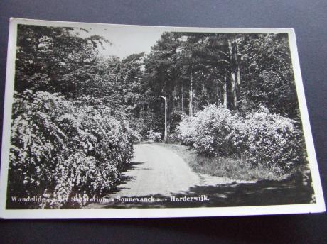 Harderwijk De weg naar Sanatorium Sonnevanck